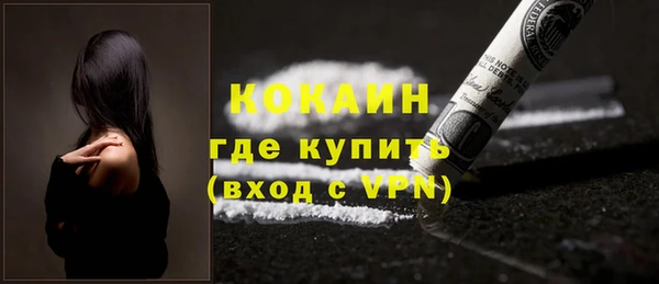 PSILOCYBIN Аркадак