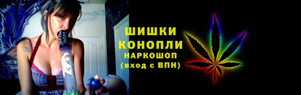 PSILOCYBIN Аркадак