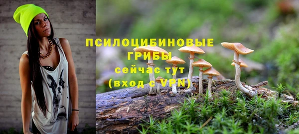 PSILOCYBIN Аркадак
