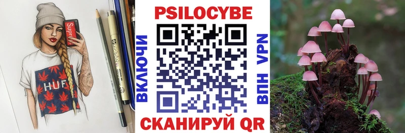 магазин  наркотиков  Шацк  Псилоцибиновые грибы Cubensis 